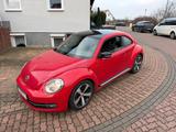 Volkswagen Beetle Sport - Volkswagen Beetle: Kleinwagen
