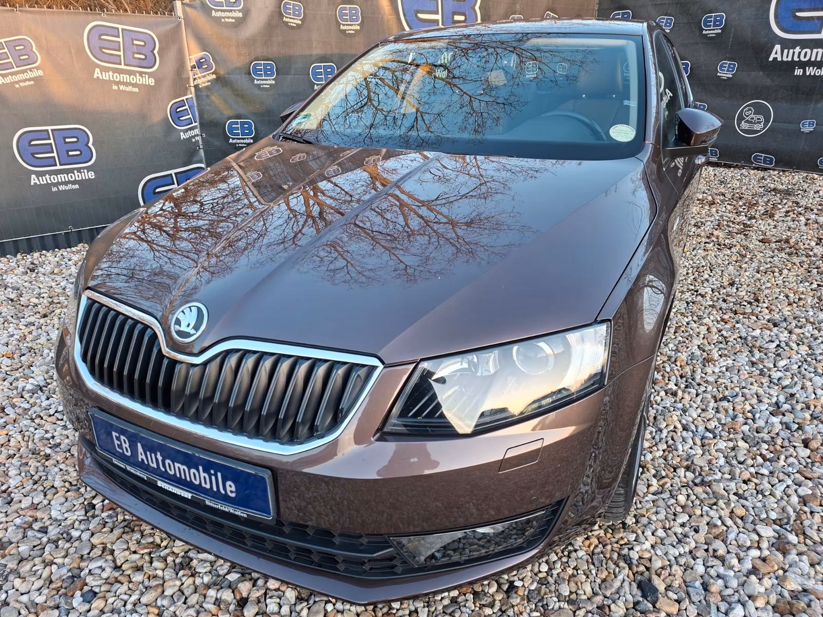 Skoda Octavia Lim. L&K, Euro5, Automatik, COC, Tüv...
