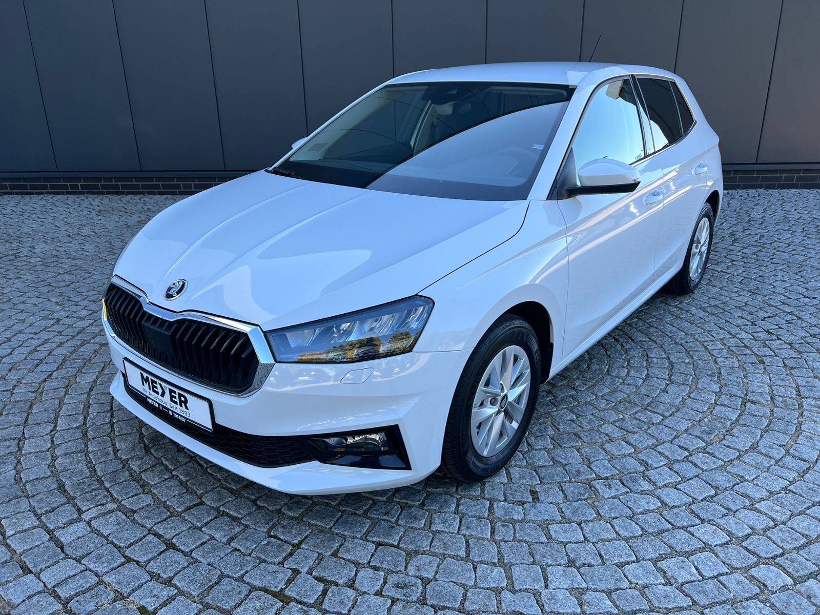 Fahrzeugabbildung SKODA Fabia Selection 1.0 TSI DSG *LED, ACC, 15'-LM*