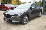Mazda CX-30 2.0 DESIGN/ACTIV-P A18 ACC/360°/NAV/WR/AHK - Mazda CX-30 Gebrauchtwagen