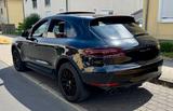 Porsche Macan GTS Panoramadach/ Full Black Edition /SH - Porsche: Black Edition