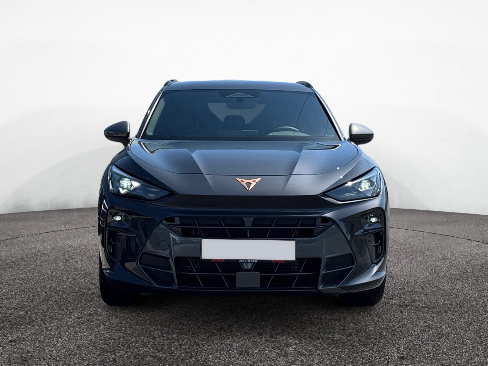 Cupra Terramar - Bild 3