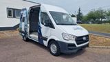 Hyundai H350 Kasten L2H2 Profi TÜV/ AU NEU - Hyundai H350 Gebrauchtwagen