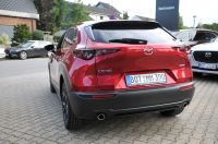 Mazda CX-30 - Vorschau Bild 7