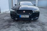 Jaguar XE 25t 250PS Pure Automatik Pure - Jaguar XE Gebrauchtwagen