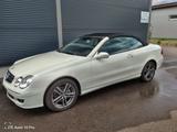 Mercedes-Benz CLK 350 AVANTGARDE  - weiße Mercedes-Benz CLK-Klasse