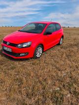Volkswagen Polo 1.4 DSG Style Umbau Behinderung - Behindertengerechte Volkswagen Polo