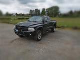Dodge Dakota - Dodge aus 2004
