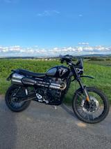 Triumph Scrambler 1200 Bond Edition 229/250 - TRIUMPH SCRAMBLER