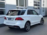 Mercedes-Benz GLE 350 d 4Matic 9G AMG *DISTR+*SPUR*MEMO*CARPLA - Mercedes-Benz GLE 350 Gebrauchtwagen
