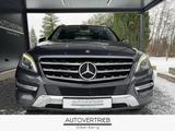 Mercedes-Benz ML 350 CDI 4x4 AUTOMA XENON NAVI PANO ACC KAMERA - gebrauchte Mercedes-Benz ML 350 aus dem Jahr 2015
