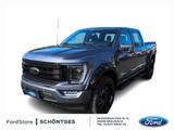 Ford F 150 5.0 V8 Aut. Black Ed. Rollo 24Zoll Radhaus - Ford F 150 Black Gebrauchtwagen