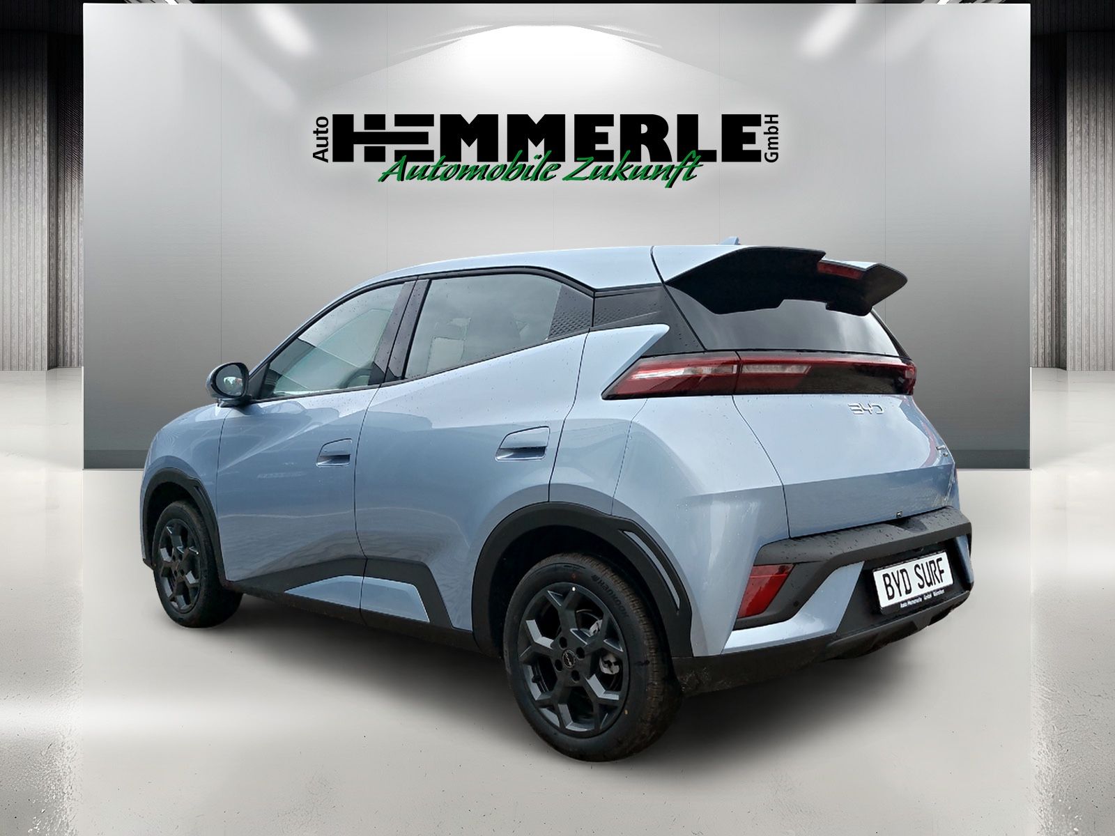 BYD DOLPHIN SURF