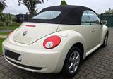 Volkswagen Beetle Cabrio, Tüv u. Öl neu, super Zustand - : Beige, Cabrio
