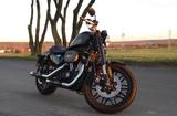 Harley-Davidson Sportster Roadster 1200 - HARLEY-DAVIDSON 1200 ROADSTER