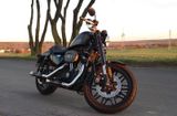 Harley-Davidson Sportster Roadster 1200