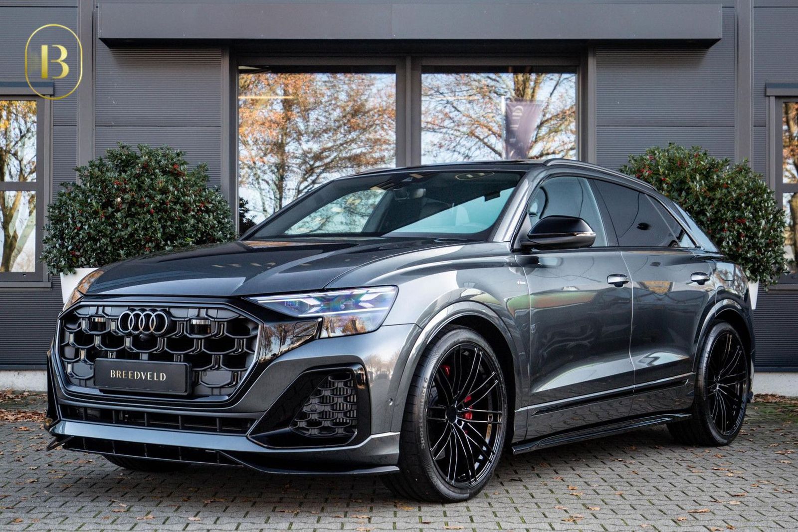 Audi Q8 60 TFSI e Competition 490pk, Carbon, Full-opt