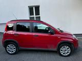 Fiat Panda Cross 4X4  1,3M-JET Klima  EXPORT - Fiat Panda mit Diesel-Antrieb: Allradantrieb
