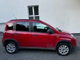 Fiat Panda Cross 4X4  1,3M-JET Klima  EXPORT - Fiat Panda mit Diesel-Antrieb