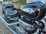 Suzuki VL 800 Volusia Cruiser Intruder  - Angebote