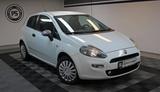 Fiat Punto 1.2 "Pop" KLIMA TÜV NEU 66TKM ALLWETTERR. - Fiat Punto: 3 Türen