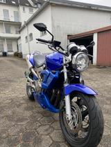 Honda CBF 600 PC 36 - HONDA 2005 CBF 600