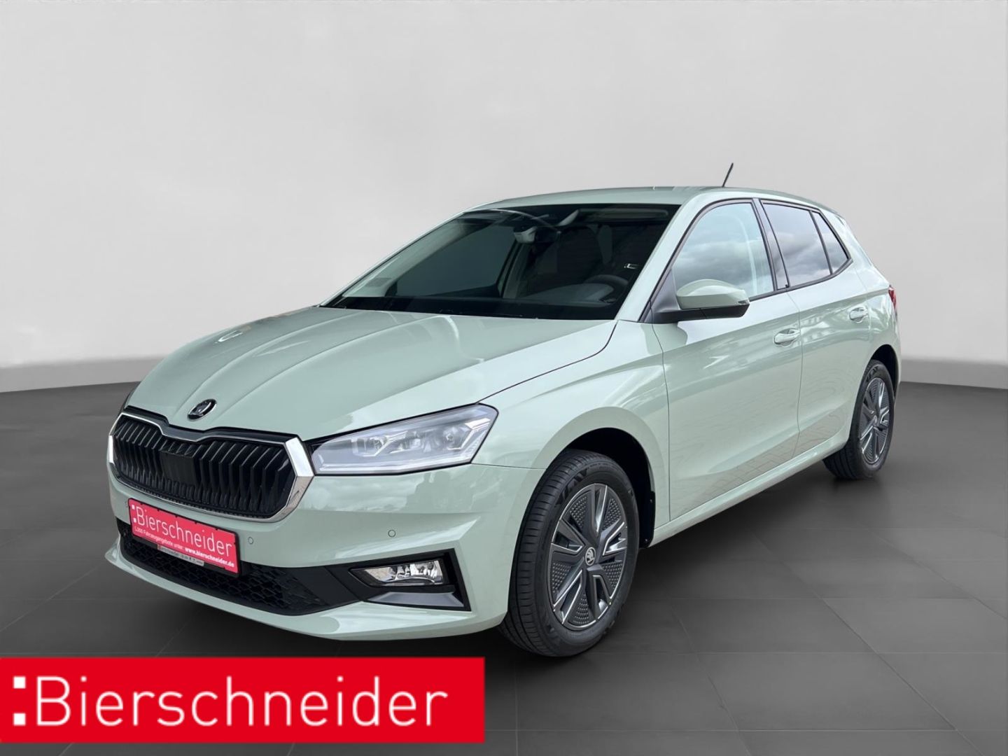 Skoda Fabia 1.0 TSI DSG Balance 5-JAHRE-GAR. ACC AHK B