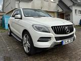 Mercedes-Benz ML 350 BlueTEC 4MATIC - - Mercedes-Benz ML 350 Gebrauchtwagen in Stuttgart