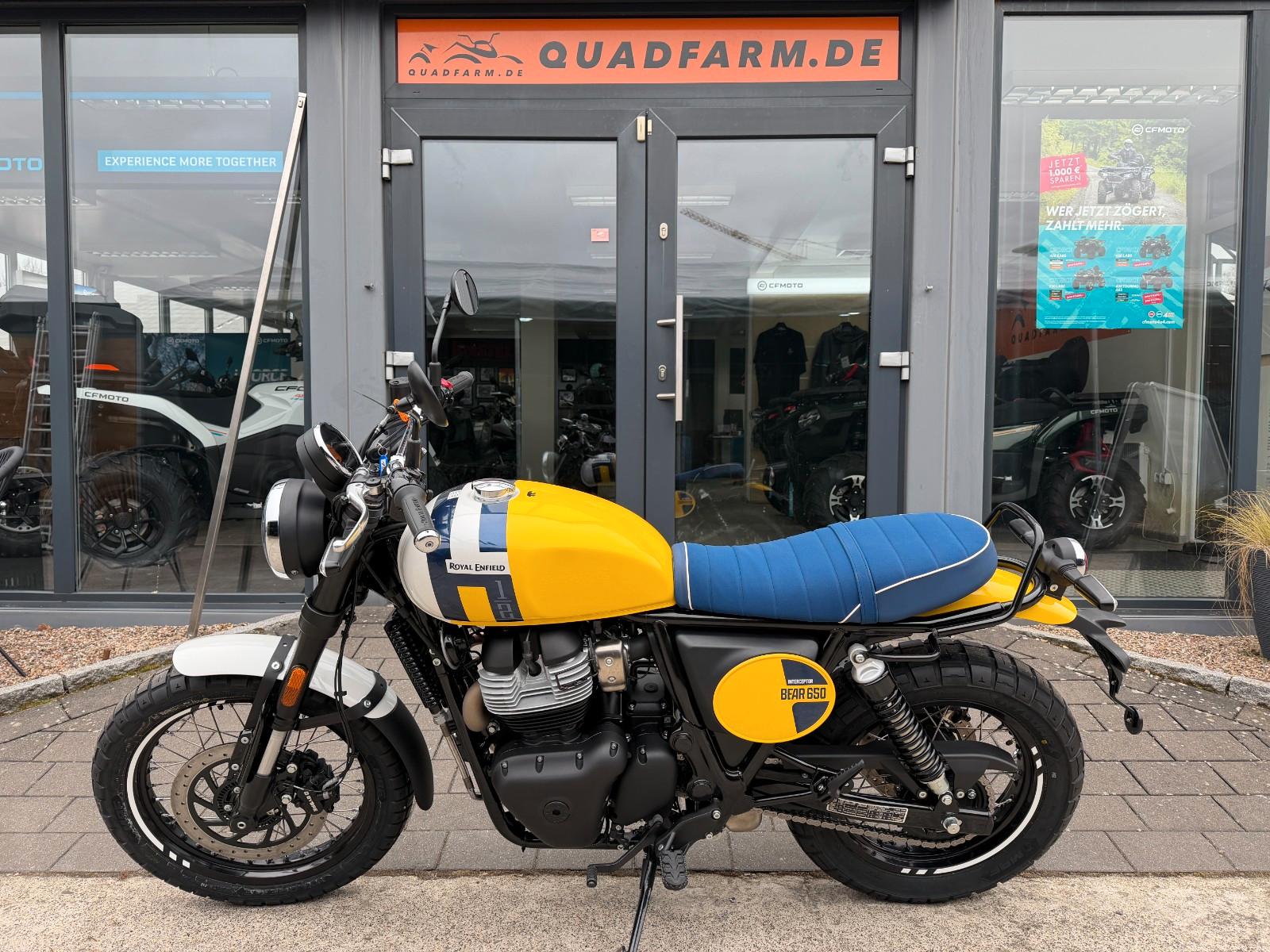 Royal Enfield Bear 650 Wild Honey