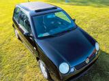 Volkswagen Lupo 1.4 44kW Trendline Trendline - Volkswagen Lupo: Schwarz