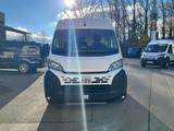 Fiat Ducato 35 L2H2 AHK CarPlay RüKa Allwetterreifen - Fiat Ducato Jahreswagen