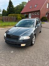 Skoda Octavia 1.9 TDI - Skoda Octavia aus 2008: 1.9