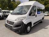 Fiat Ducato Luxusbus Panorama Modular L2H2 150 MJ - Fiat Ducato: Modular
