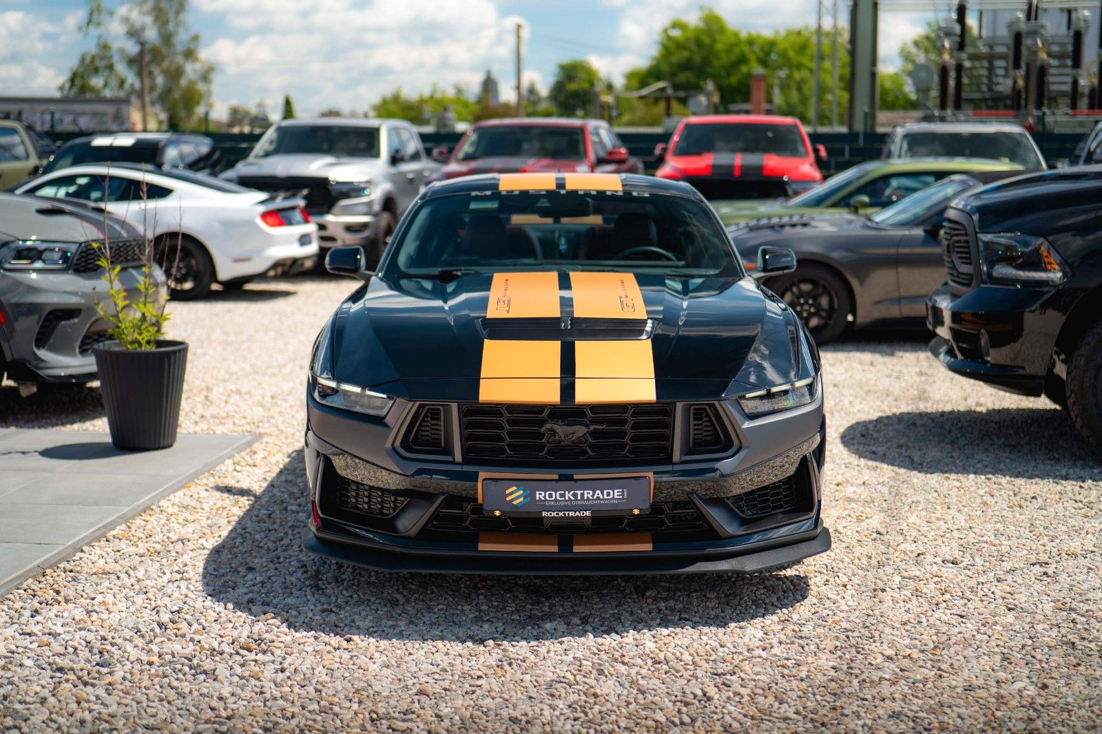 Fahrzeugabbildung Ford Mustang Fastback 5.0 Ti-VCT V8 Dark Horse 6-Gang