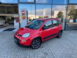 Fiat Panda 1.0 Hybrid City Life+Parksensoren - gebrauchte Fiat Panda aus dem Jahr 2022