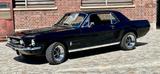 Ford Mustang - gebrauchte Ford Mustang aus dem Jahr 1967
