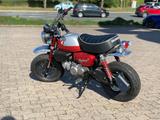 Honda Monkey - Offers matching your search criteria