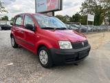 Fiat Panda 1.1 8V Active I-Hand Tüv Neu - Fiat Panda in Mainz