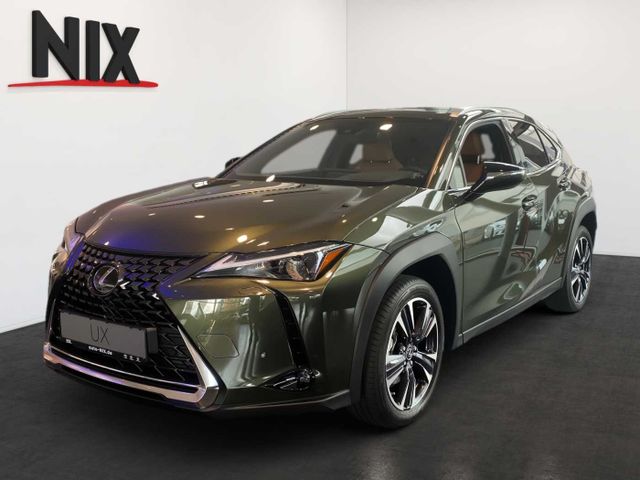 Lexus UX 250h Executive Line SCHIEBEDACH PREMIUM PAKET