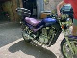 Suzuki VX800 - Solide Schönheit - SUZUKI VX 800