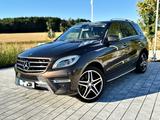 Mercedes-Benz ML 500 4Matic*AMG*Designo*Memory* - Mercedes-Benz ML 500 Gebrauchtwagen