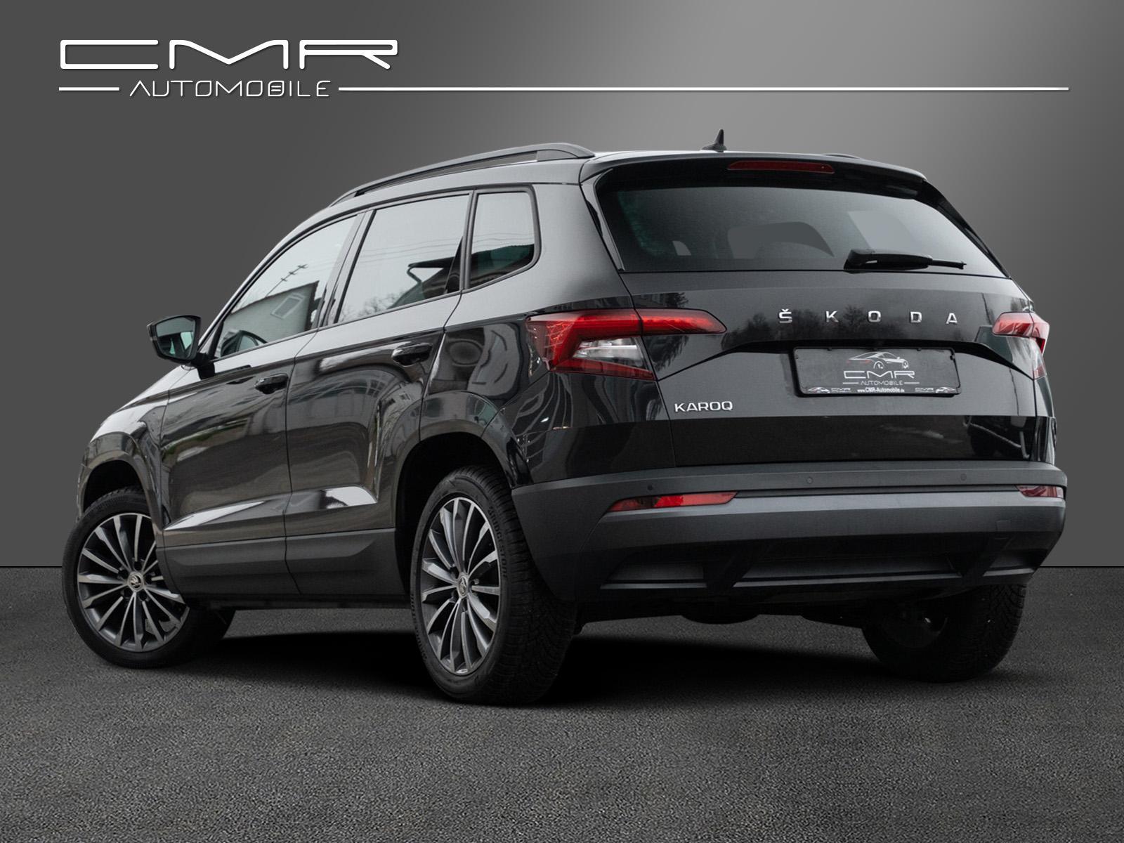 Skoda Karoq Style Business-Paket Amundsen LED SunSet, миниатюра 5