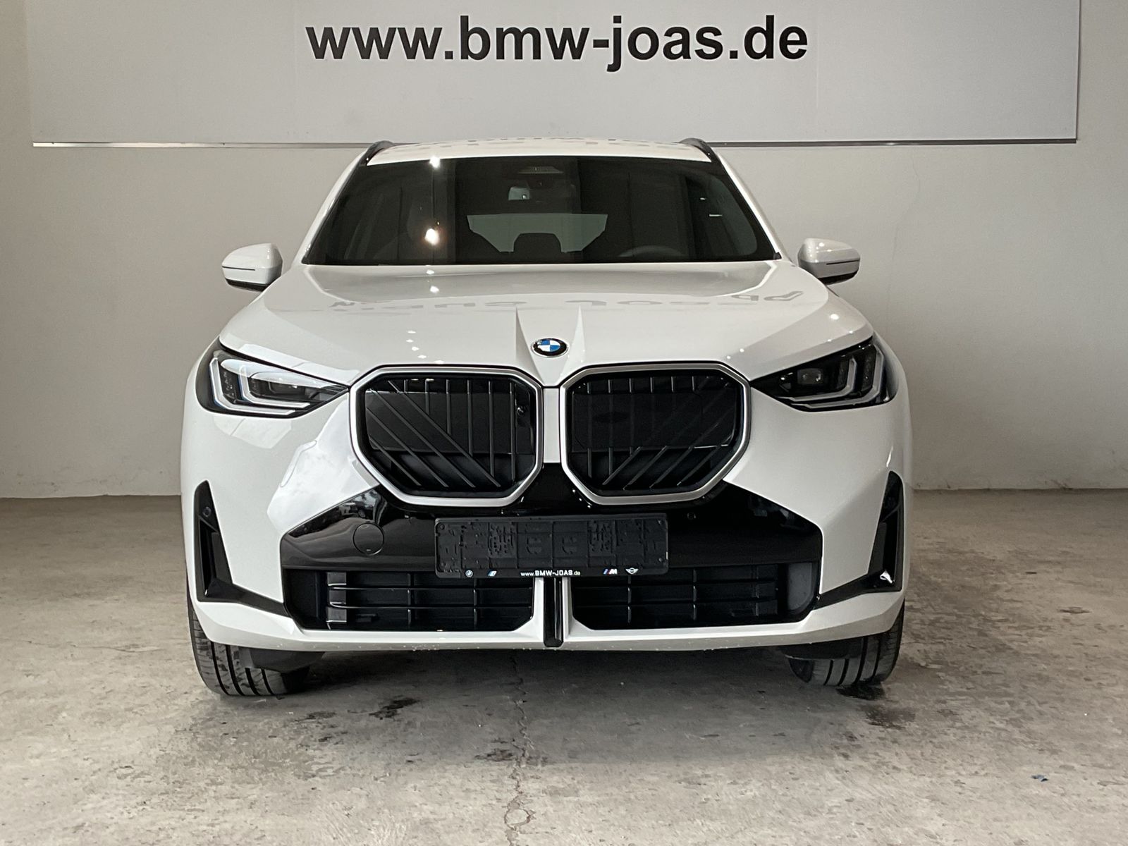 Fahrzeugabbildung BMW X3 20 xDrive Harman Kardon Surround System, Lenk