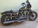 Harley-Davidson XL 1200 Iron