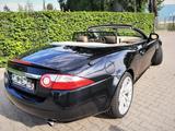 Jaguar XK 4.2L V8 Cabriolet -*MEMORY*LEDER*NAVI*TÜV  - Jaguar XK aus 2007