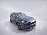 Cupra Formentor 1.4 VZ DSG Kamera/ACC/AHK/KeyLess - Cupra Formentor in Leverkusen