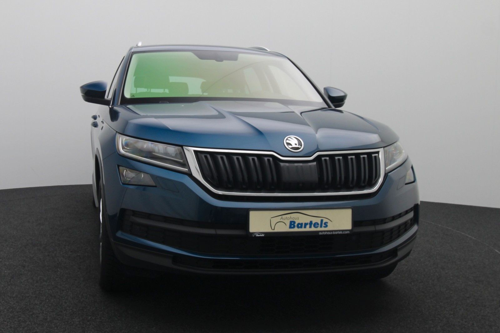 Fahrzeugabbildung SKODA Kodiaq 2.0 AHK LED DSG Teilleder ACC