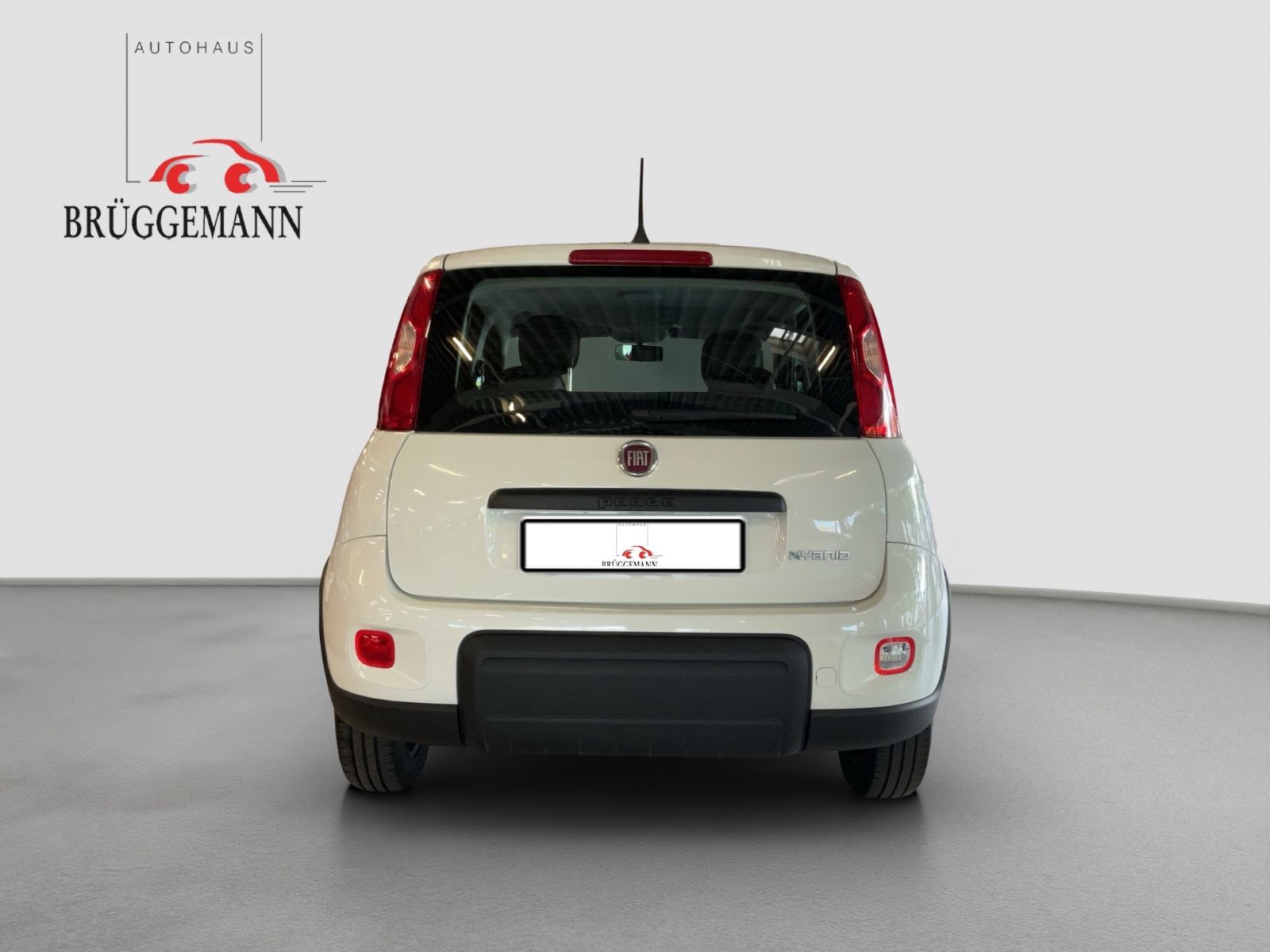 Fahrzeugabbildung Fiat Panda 1,0 Hybrid  Allwetterreifen/Klima/DAB