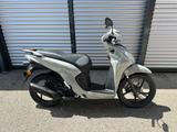 Honda VISION 110 / MY 2025 / "GOLDEN SUMMER WEEKS" - ROLLER GO