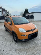 Fiat Panda 1.3 multijet Diesel - Fiat Panda: Privatanbieter